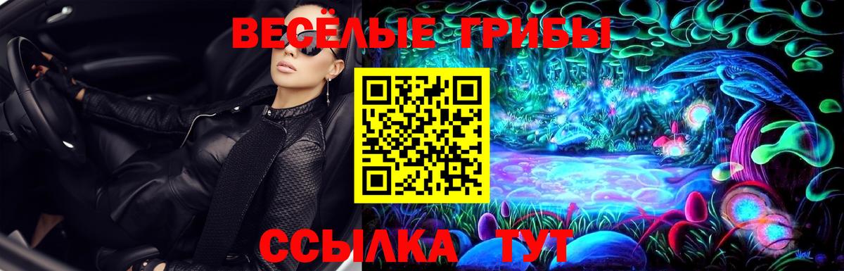 Галлюциногенные грибы Cubensis Сафоново